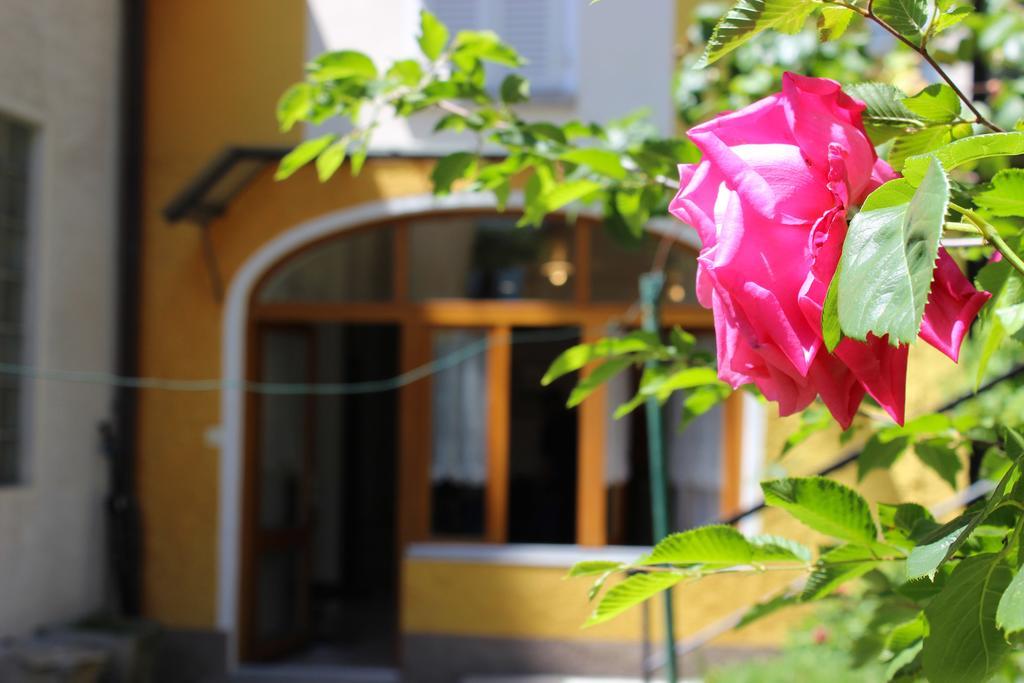 Rose Apartment By Quokka 360 - Refined Two-Bedroom Apartment With Garden Lugano Kültér fotó